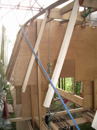 IMGP0880.JPG