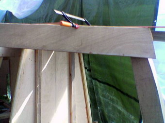 Immag.(12).jpg