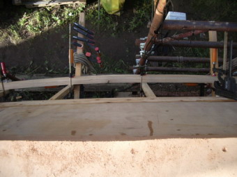 IMGP1085.JPG