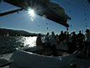 DSCN5560.JPG