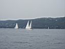 IMGP0350.JPG