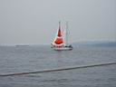 IMGP0355.JPG
